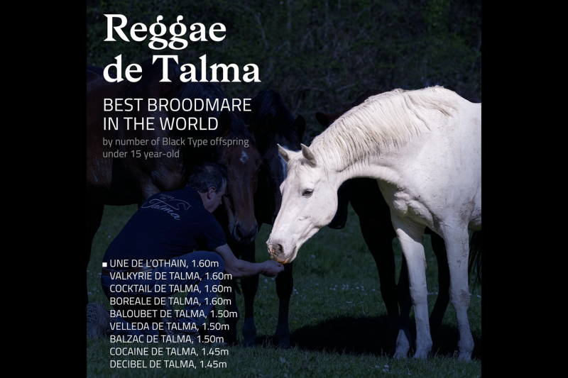 Best broodmare in the world!